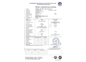 MAG-FM1-PA（ss，nb）---Li Youzhu